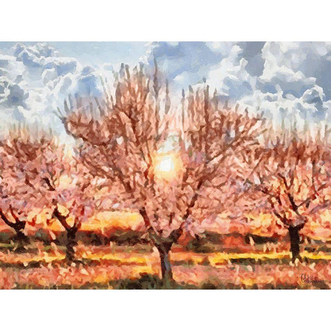 Red Flowering Tree with Sun Black Modern Wood Framed Art Print with Double Matting by Medeiros, Celito
