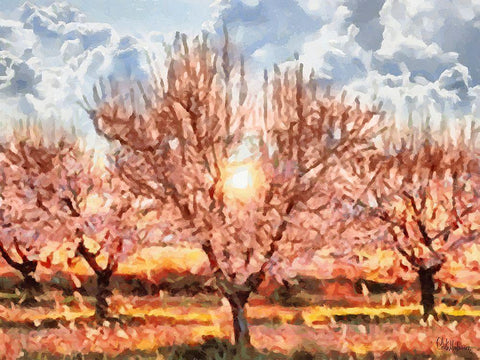 Red Flowering Tree with Sun Black Ornate Wood Framed Art Print with Double Matting by Medeiros, Celito