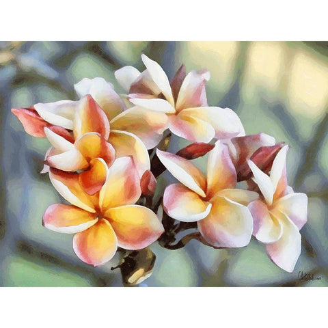 Pink Flowers of a Tree Black Modern Wood Framed Art Print by Medeiros, Celito