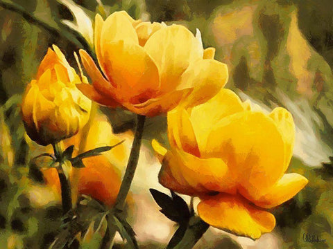 Yellow Flowers Black Ornate Wood Framed Art Print with Double Matting by Medeiros, Celito