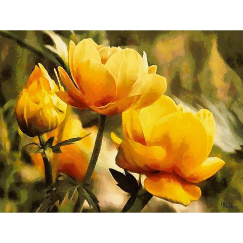 Yellow Flowers Gold Ornate Wood Framed Art Print with Double Matting by Medeiros, Celito