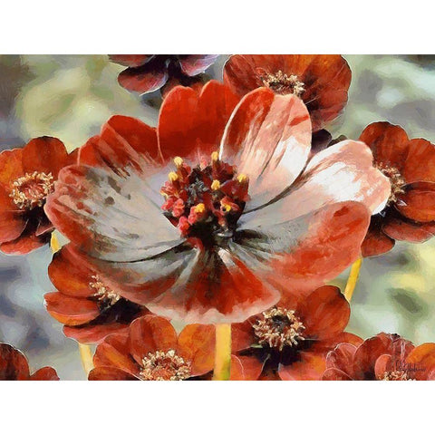 Red Poppies White Modern Wood Framed Art Print by Medeiros, Celito