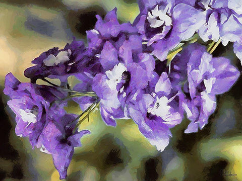 Purple Flowers Black Ornate Wood Framed Art Print with Double Matting by Medeiros, Celito