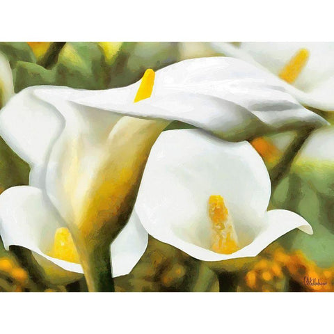 White Flowers Black Modern Wood Framed Art Print with Double Matting by Medeiros, Celito