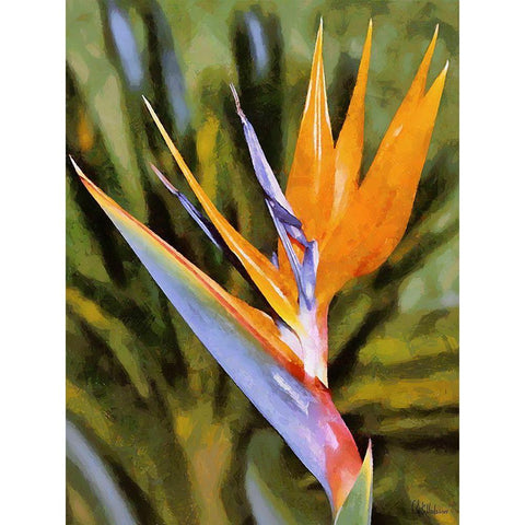 Beautiful Orchid I Gold Ornate Wood Framed Art Print with Double Matting by Medeiros, Celito