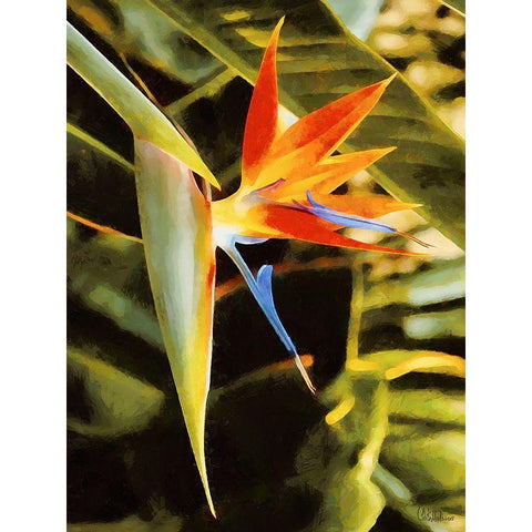 Beautiful Orchid II Gold Ornate Wood Framed Art Print with Double Matting by Medeiros, Celito