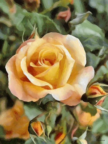 Yellow Roses White Modern Wood Framed Art Print with Double Matting by Medeiros, Celito
