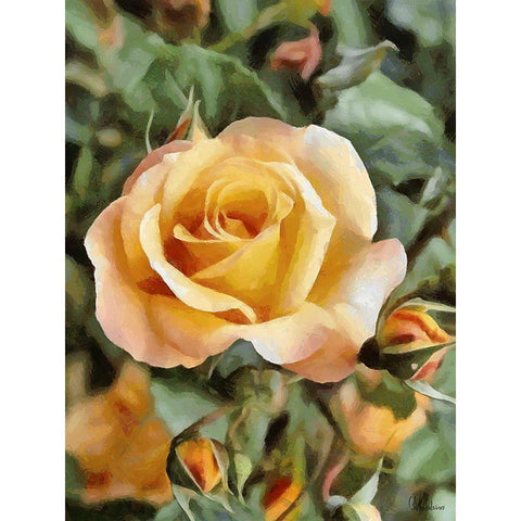 Yellow Roses Black Modern Wood Framed Art Print by Medeiros, Celito