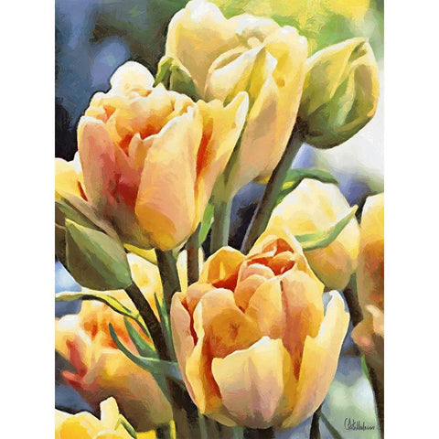 Just Tulips I White Modern Wood Framed Art Print by Medeiros, Celito