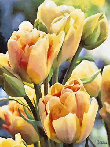 Just Tulips I White Modern Wood Framed Art Print with Double Matting by Medeiros, Celito