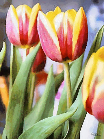 Just Tulips II Black Ornate Wood Framed Art Print with Double Matting by Medeiros, Celito