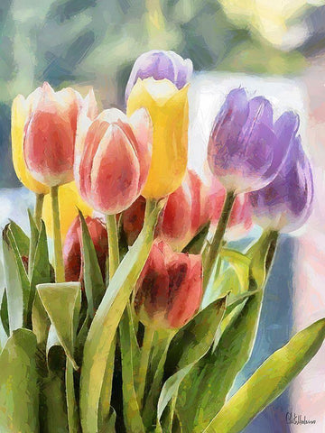 Just Tulips III White Modern Wood Framed Art Print with Double Matting by Medeiros, Celito