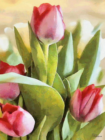 Just Tulips V White Modern Wood Framed Art Print with Double Matting by Medeiros, Celito