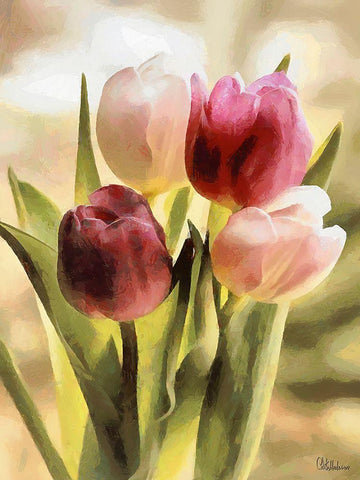 Just Tulips VI Black Ornate Wood Framed Art Print with Double Matting by Medeiros, Celito