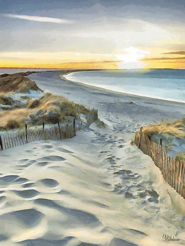 Beach with White Sand Black Ornate Wood Framed Art Print with Double Matting by Medeiros, Celito