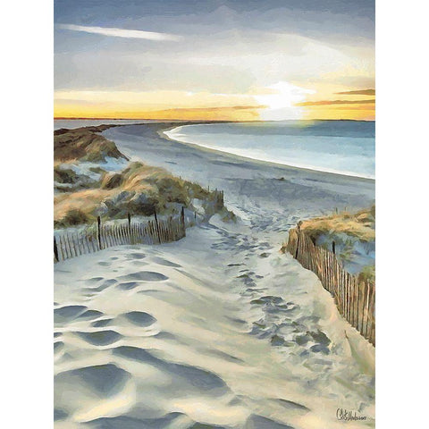 Beach with White Sand Black Modern Wood Framed Art Print with Double Matting by Medeiros, Celito