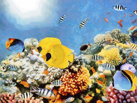 Fishes in Tropical Sea II Black Ornate Wood Framed Art Print with Double Matting by Medeiros, Celito