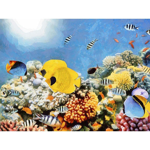 Fishes in Tropical Sea II White Modern Wood Framed Art Print by Medeiros, Celito