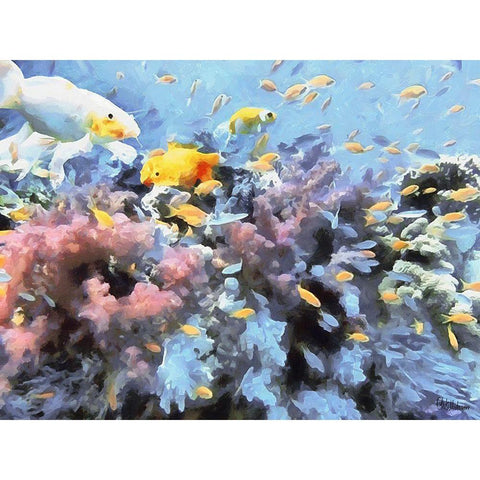 Fishes in Tropical Sea III Black Modern Wood Framed Art Print with Double Matting by Medeiros, Celito