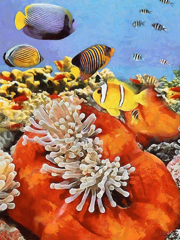 Fishes in Tropical Sea IV White Modern Wood Framed Art Print with Double Matting by Medeiros, Celito