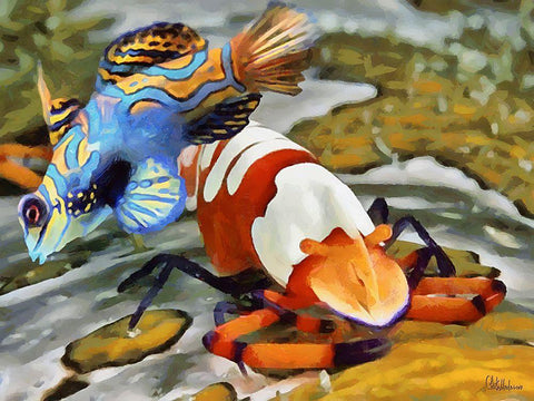 Fishes in Tropical Sea V Black Ornate Wood Framed Art Print with Double Matting by Medeiros, Celito