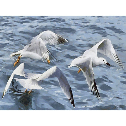 Seagulls over the Water Gold Ornate Wood Framed Art Print with Double Matting by Medeiros, Celito