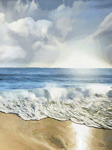 White Wave at the Beach II Black Ornate Wood Framed Art Print with Double Matting by Medeiros, Celito