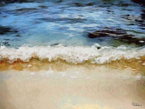 White Wave at the Beach IV Black Ornate Wood Framed Art Print with Double Matting by Medeiros, Celito