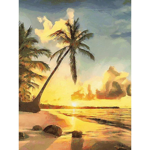 Sunset over Palm Trees IV Black Modern Wood Framed Art Print with Double Matting by Medeiros, Celito