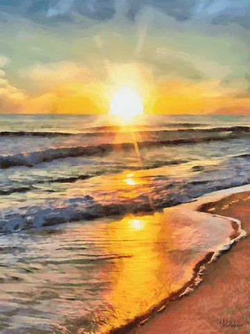 White Wave at the Beach V Black Ornate Wood Framed Art Print with Double Matting by Medeiros, Celito