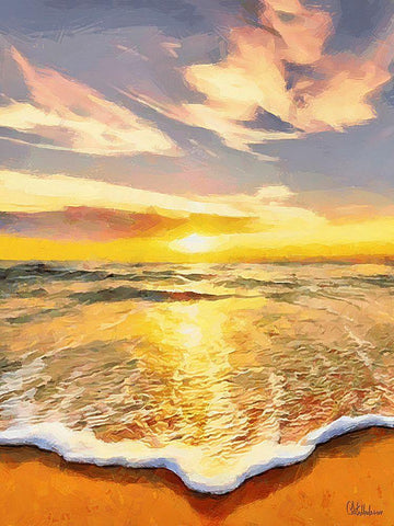 White Wave at the Beach VII Black Ornate Wood Framed Art Print with Double Matting by Medeiros, Celito