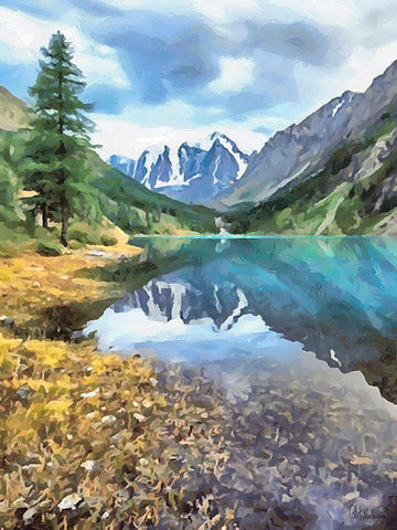 Rocky Nature VI Black Ornate Wood Framed Art Print with Double Matting by Medeiros, Celito