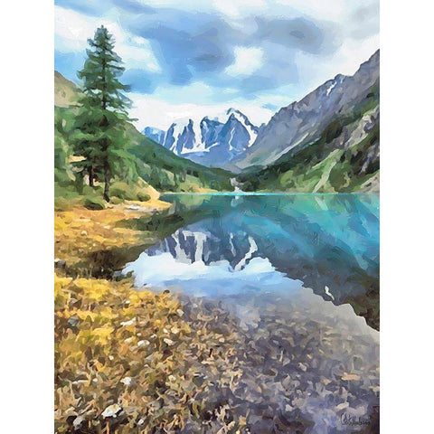 Rocky Nature VI Black Modern Wood Framed Art Print by Medeiros, Celito