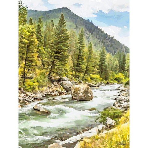 Rocky Nature XIX Black Modern Wood Framed Art Print by Medeiros, Celito