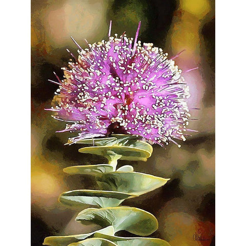 Pink Flower II Gold Ornate Wood Framed Art Print with Double Matting by Medeiros, Celito