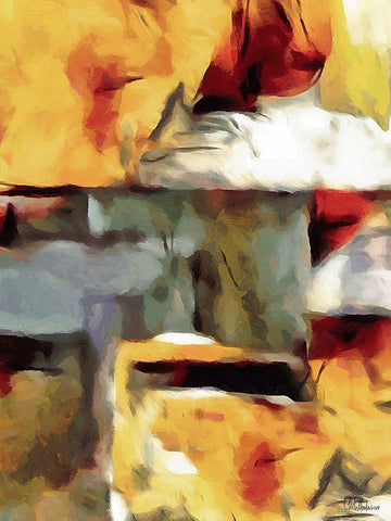 Kandinsky Inspiration XXI Black Ornate Wood Framed Art Print with Double Matting by Medeiros, Celito