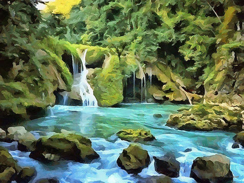 Watterfall in Jungle II Black Ornate Wood Framed Art Print with Double Matting by Medeiros, Celito