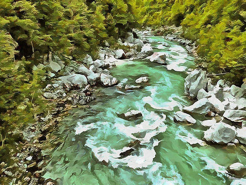 River in Forest I Black Ornate Wood Framed Art Print with Double Matting by Medeiros, Celito