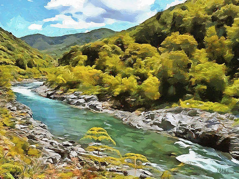 River in Forest II Black Ornate Wood Framed Art Print with Double Matting by Medeiros, Celito