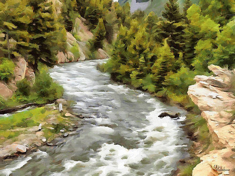 River in Forest IV Black Ornate Wood Framed Art Print with Double Matting by Medeiros, Celito