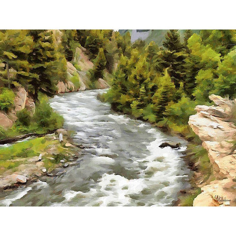 River in Forest IV Black Modern Wood Framed Art Print with Double Matting by Medeiros, Celito