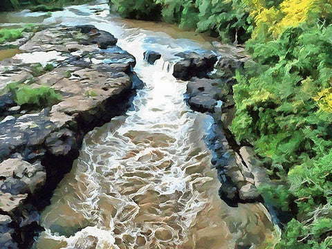 River in Forest V White Modern Wood Framed Art Print with Double Matting by Medeiros, Celito