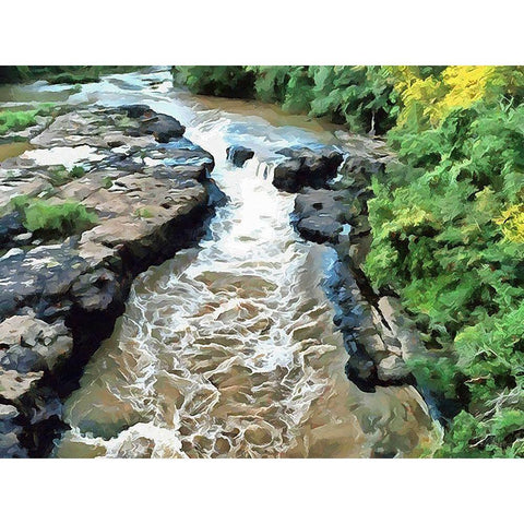 River in Forest V Black Modern Wood Framed Art Print with Double Matting by Medeiros, Celito