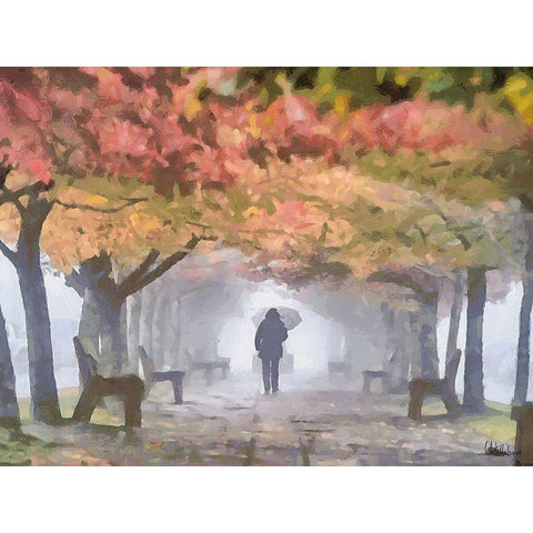 A foggy Day Black Modern Wood Framed Art Print with Double Matting by Medeiros, Celito