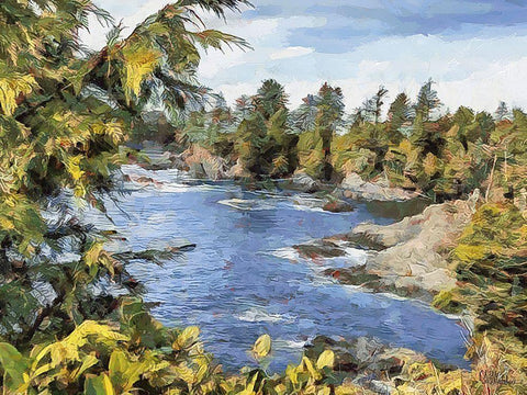 Windy River Black Ornate Wood Framed Art Print with Double Matting by Medeiros, Celito