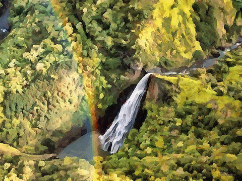 Rainbow over Watterfall Black Ornate Wood Framed Art Print with Double Matting by Medeiros, Celito
