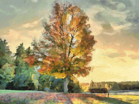 Magic Tree White Modern Wood Framed Art Print with Double Matting by Medeiros, Celito