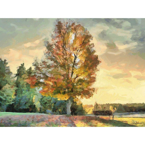 Magic Tree Black Modern Wood Framed Art Print by Medeiros, Celito