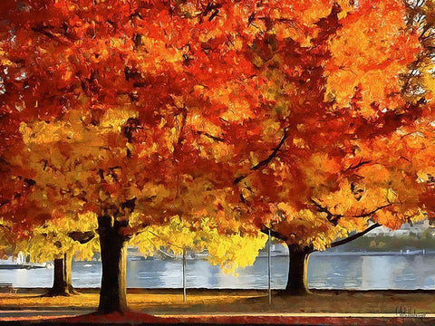 Autumn Trees in the City III Black Ornate Wood Framed Art Print with Double Matting by Medeiros, Celito