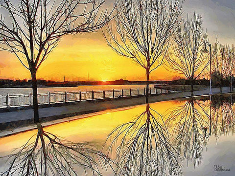 Mirrored Trees by Sunset I Black Ornate Wood Framed Art Print with Double Matting by Medeiros, Celito